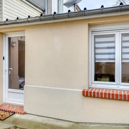 Nenuphar - Le Jardin Des Plantes 鲁昂